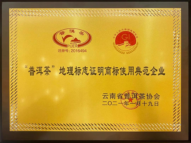 云南龙润茶业集团品牌策划副总监马亚岑代表公司领取奖项