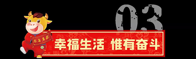 勐库戎氏生肖牛纪念茶