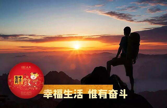 勐库戎氏生肖牛纪念茶