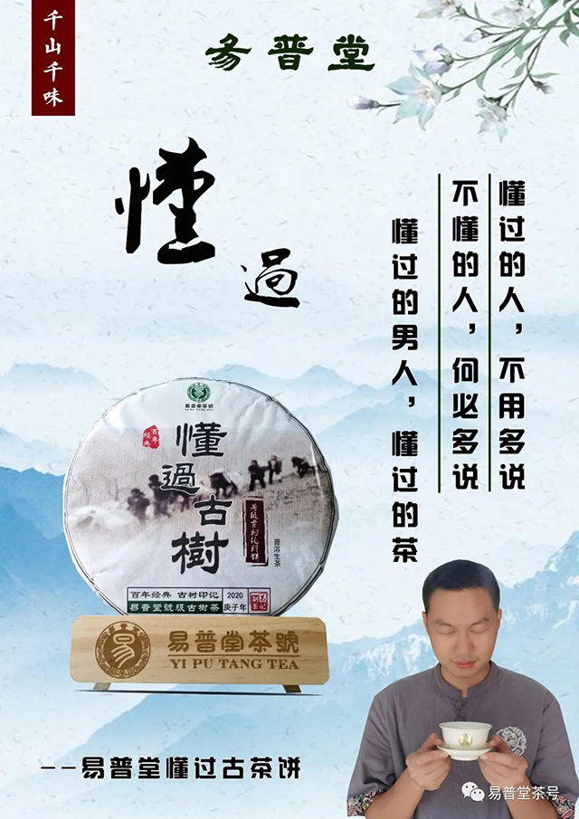 易普堂普洱茶