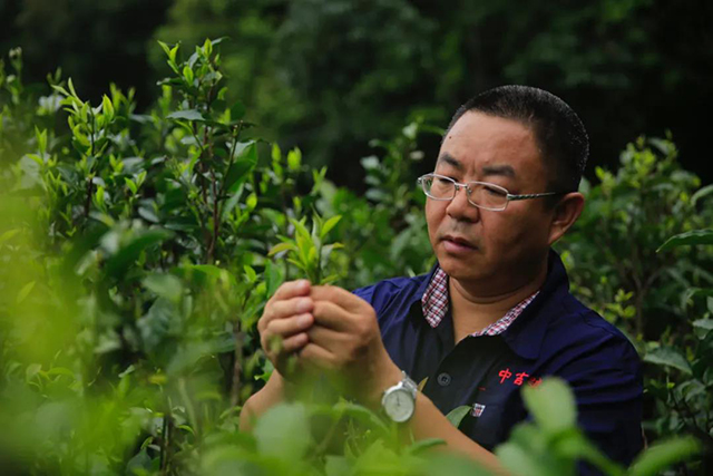 中吉号杨世华