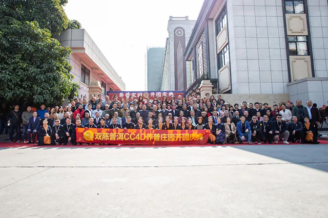 双陈普洱茶