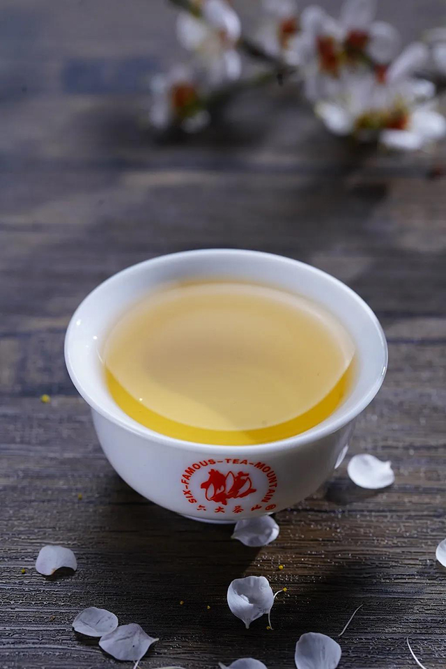  六大茶山普洱茶