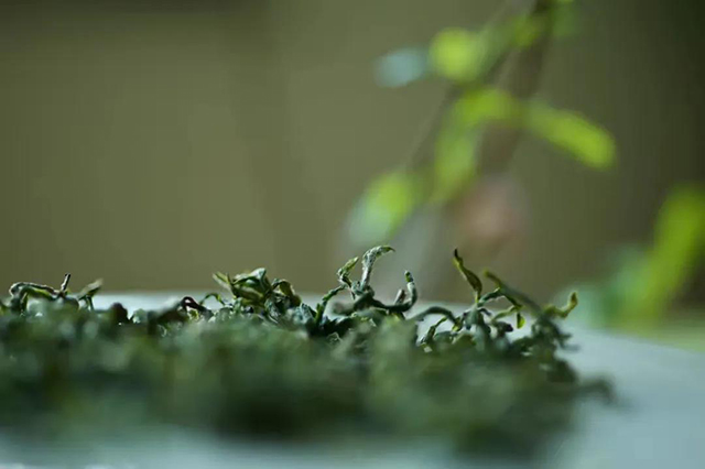 一如茶香茶之迷误