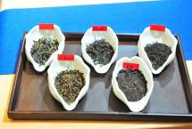 茶之迷误之二十七：习茶一定要知道六大茶类的知识吗？「一如茶香专栏」