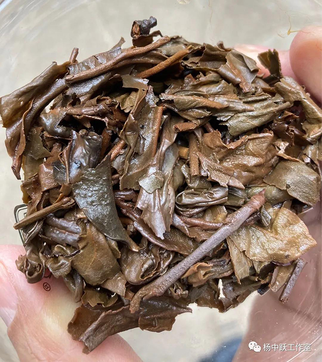 真假老班章茶品鉴