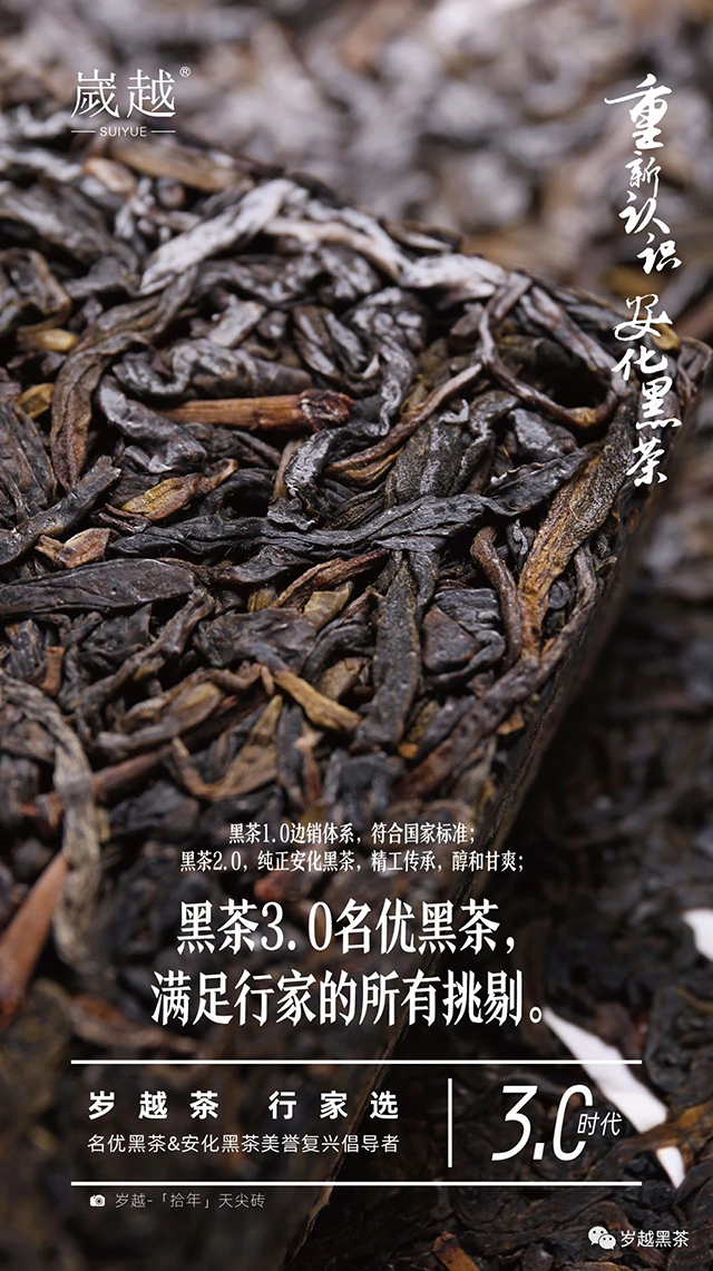 岁越黑茶安化黑茶