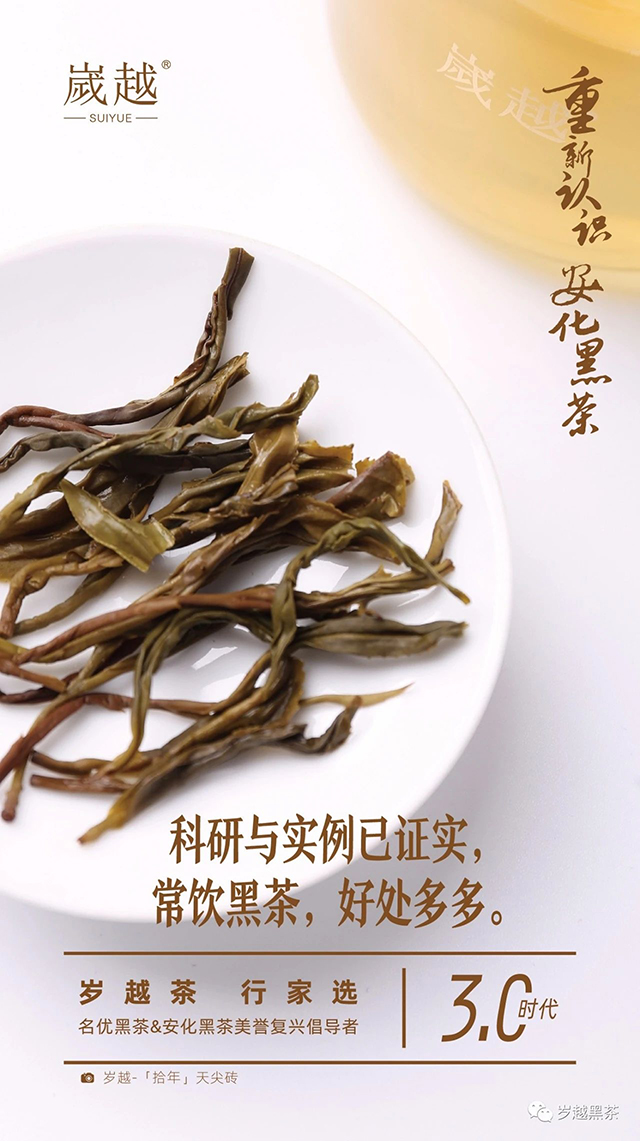 岁越黑茶安化黑茶