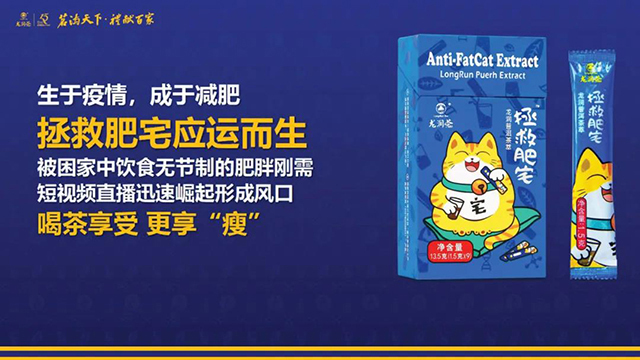 云南龙润茶业