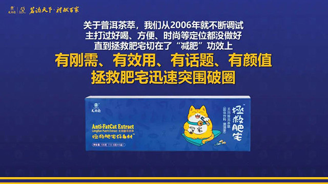 云南龙润茶业