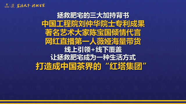 云南龙润茶业