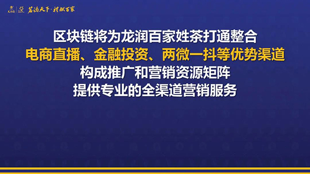 云南龙润茶业