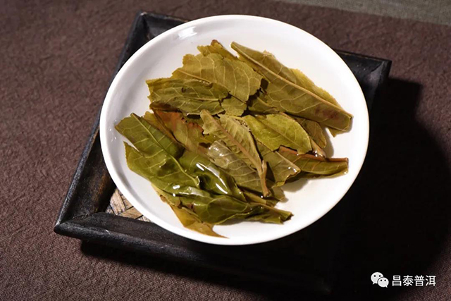 昌泰普洱茶