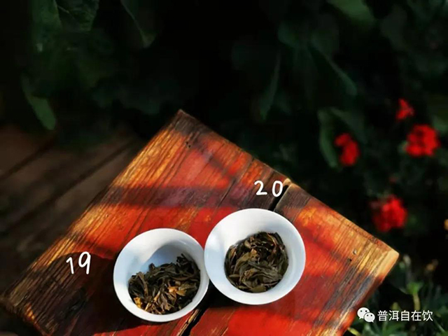 宝和祥飞龙号普洱茶