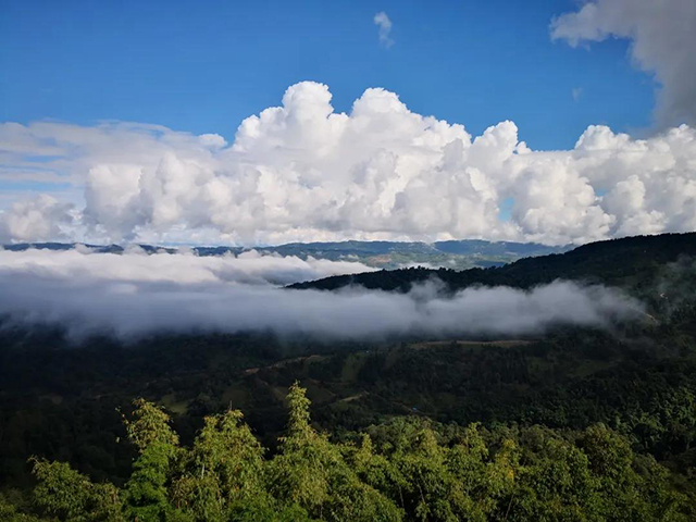 六大茶山2021年营销体系管理规范重磅发布