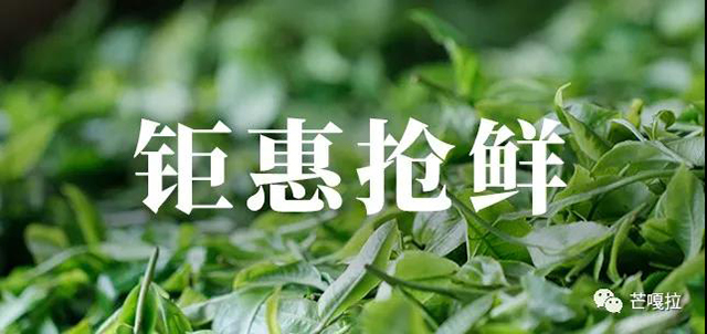 芒嘎拉古茶