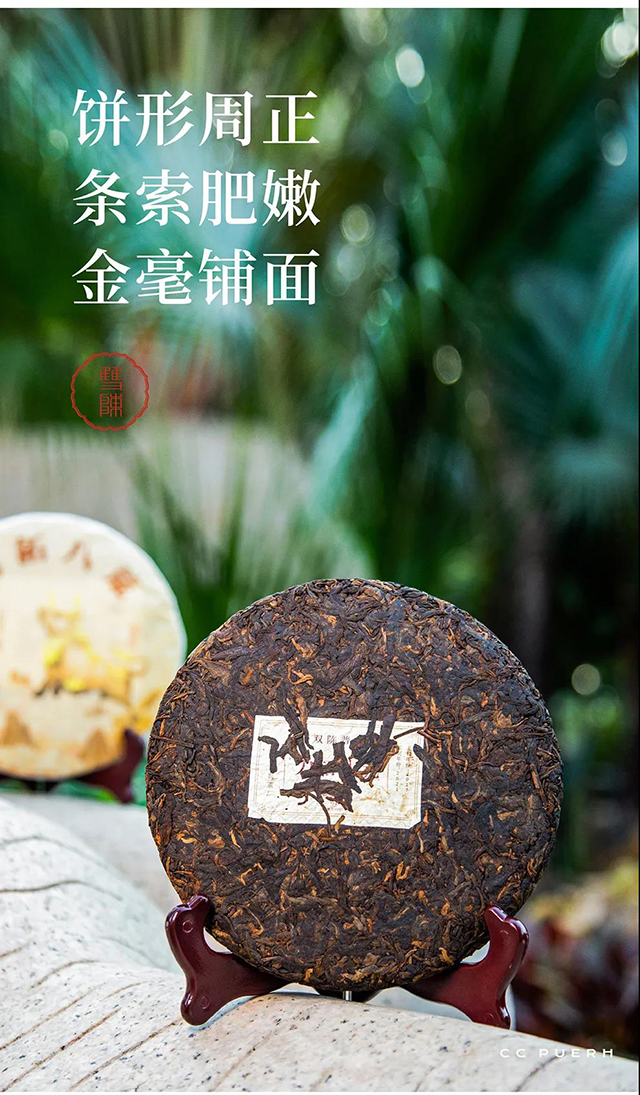 双陈力拓八荒普洱茶
