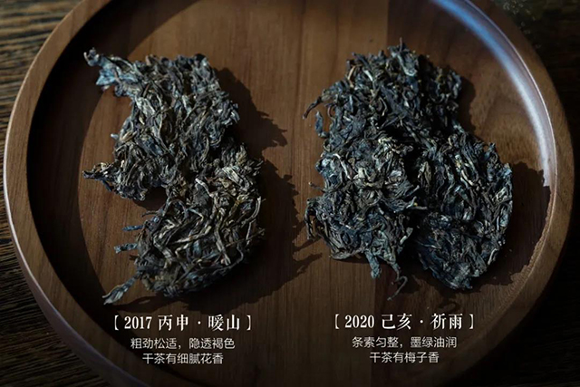 津乔普洱茶