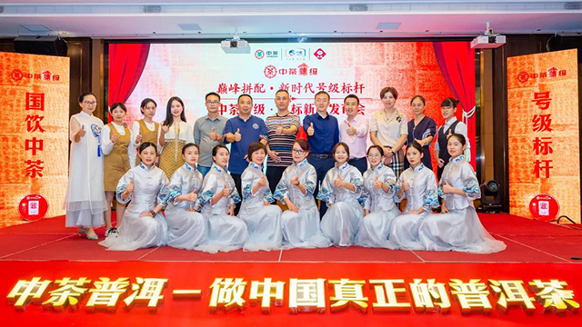 中茶号级红标普洱茶品鉴