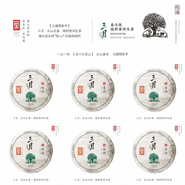 福元昌2021年春茶预售