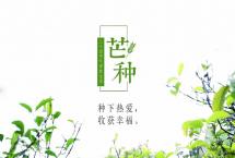 青梅煮酒时节，粒粒麦饭飘香「二十四节气·芒种」