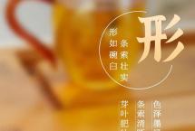福今茶业2021年「特选青沱」即将发售