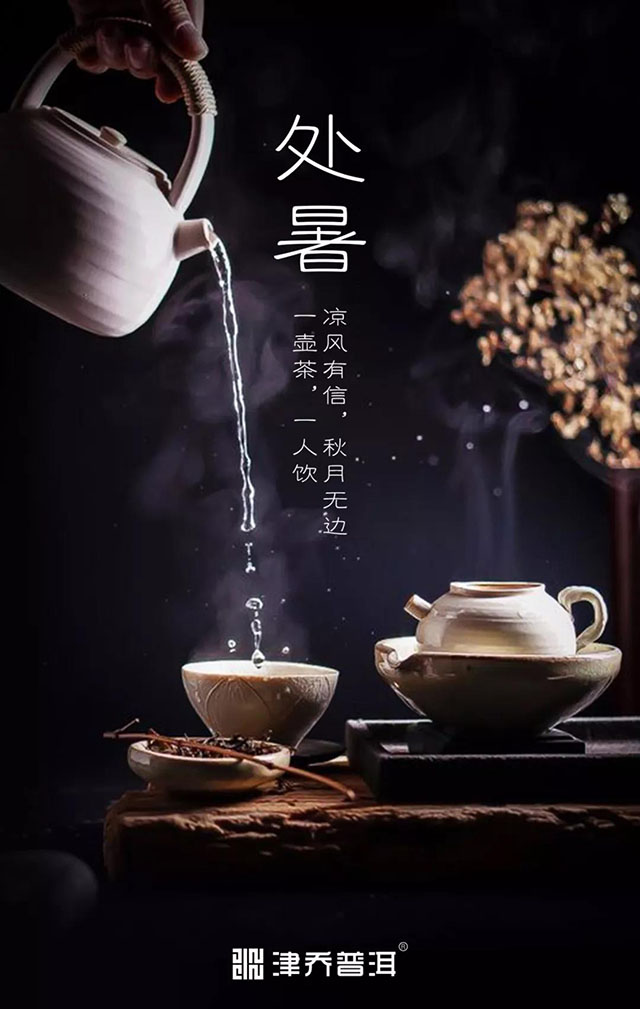 津乔普洱茶