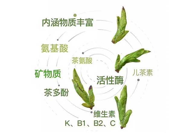 祥源茶2021年头采徽茶现已开启预售