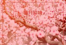 「春暖花开」：用最温暖的方式唤醒春天