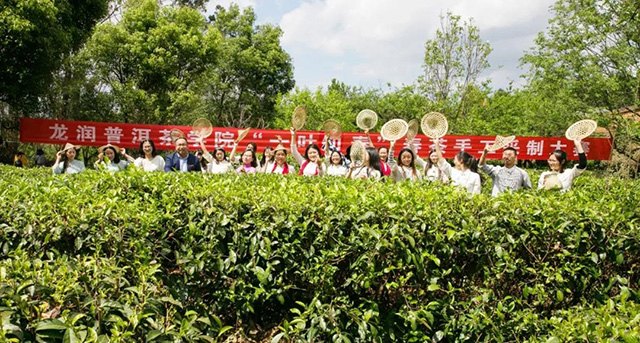 云南农业大学龙润普洱茶学院