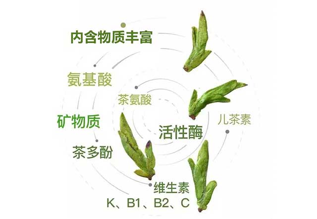 祥源茶2021年头采徽茶现已开启预售