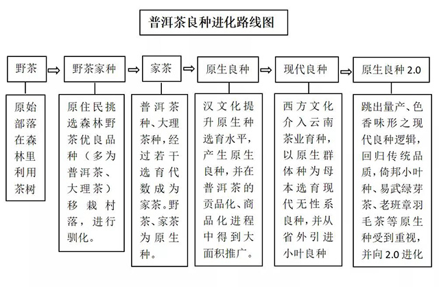 请上帝喝茶工作室