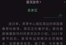 2021年云南春茶已经小部分开采制，部分地区茶价上涨