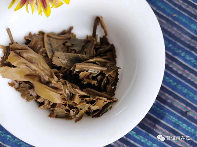 宝和祥普洱茶