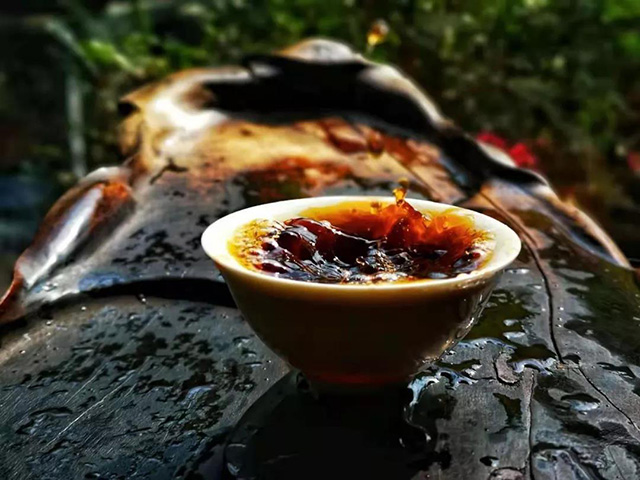 润元昌大鸿运普洱茶熟茶开汤品鉴