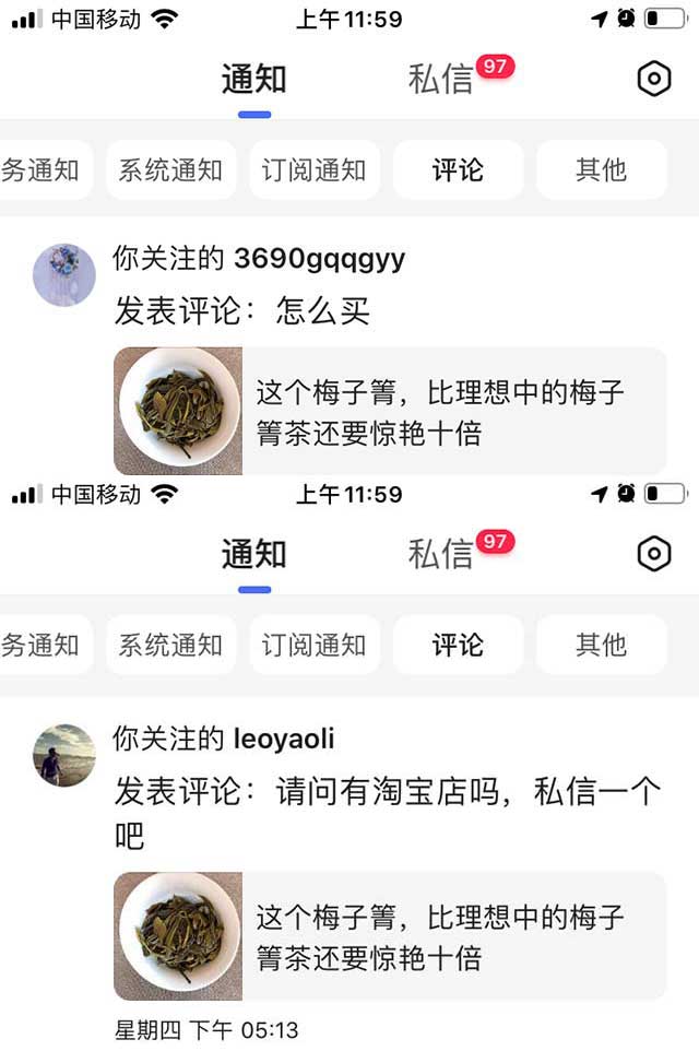 梅子箐普洱茶