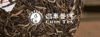 昌泰普洱茶山行：寻踏古六大茶山，品百年易武之味