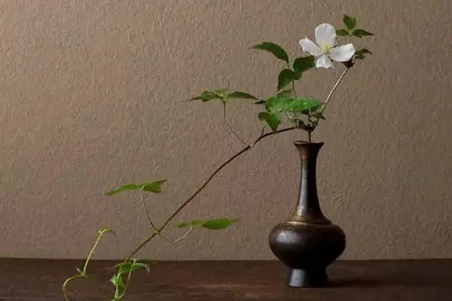 茶席插花技巧