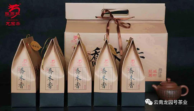 龙园号2021年新品乔木香普洱茶