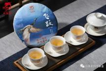 龙园号正行典藏系列2021年飞跃普洱茶