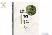 《造物记：云南古茶园的秘密》：春季上茶山，如何观察一棵树？