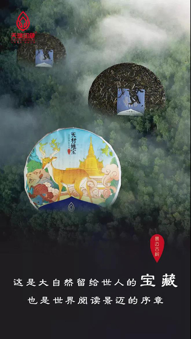 天璞印象天材地宝普洱茶