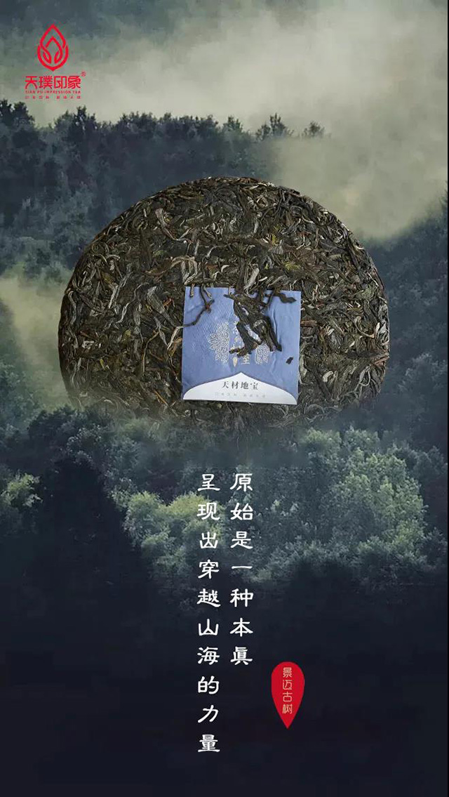天璞印象天材地宝普洱茶