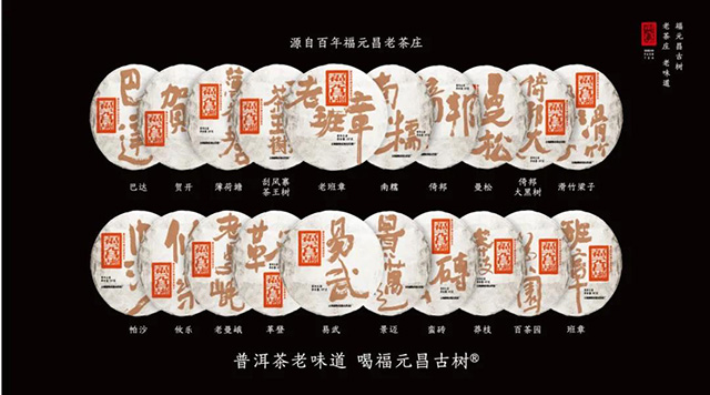 福元昌2021年春茶季古树茶王地系列开启预售