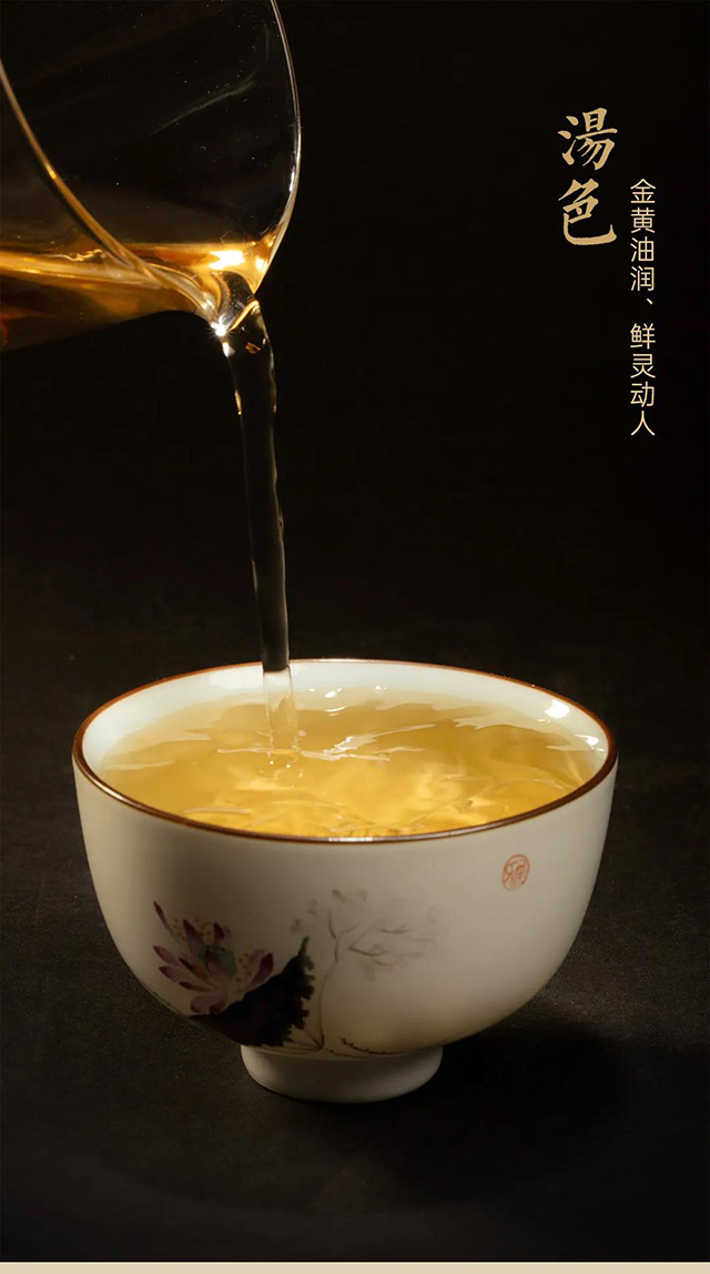 龙润茶茉莉青饼