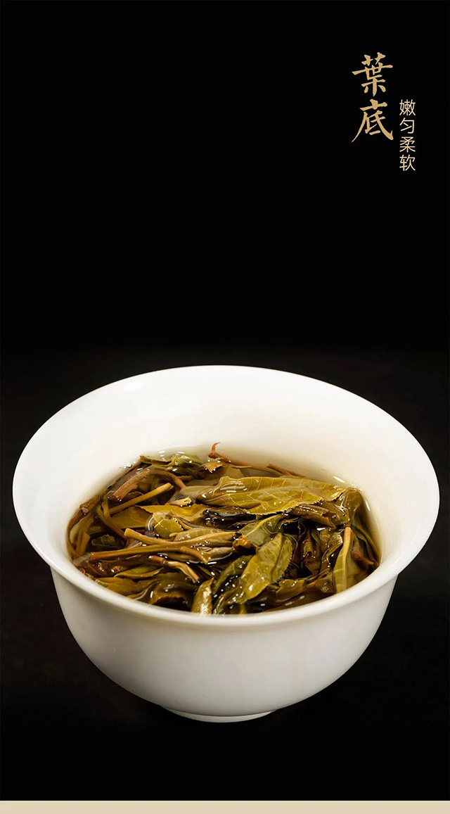 龙润茶茉莉青饼