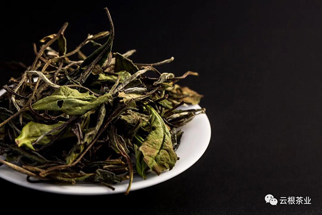 云根茶业小野白白茶