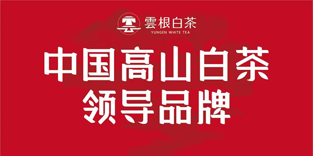 云根茶业福建省经销商2021年度春季培训