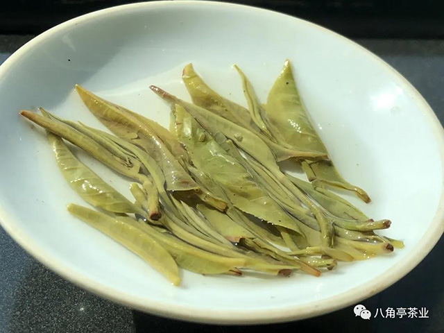 嘉木茶业早春三款绿茶