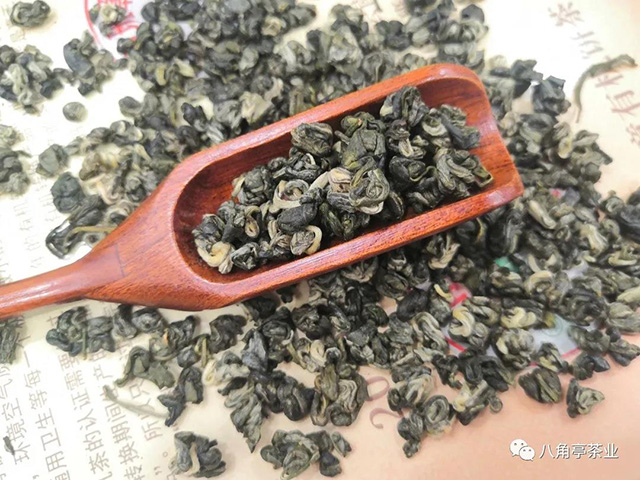 嘉木茶业早春三款绿茶